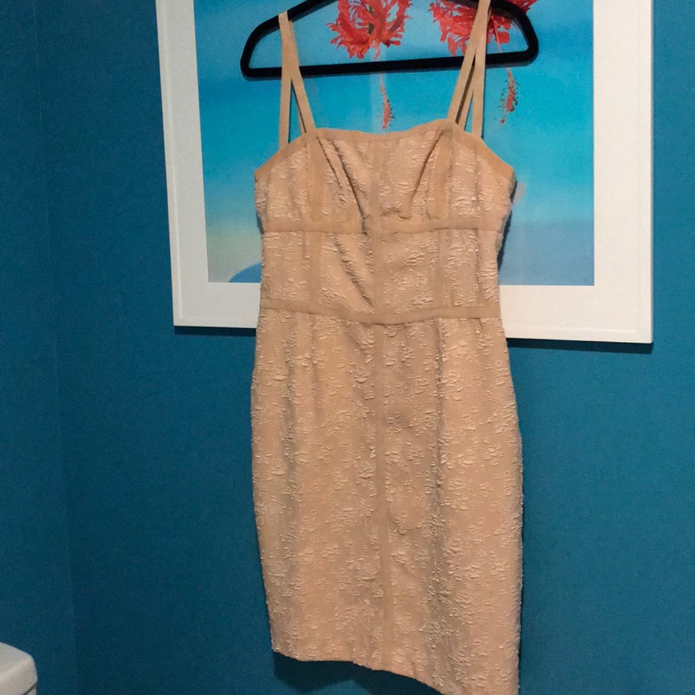 Ali and Jay Los Angeles party dress.